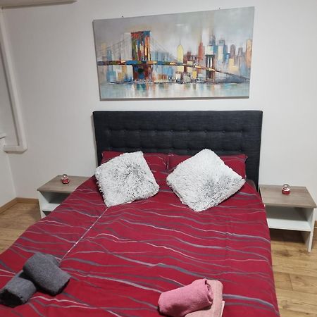 Studio Apartman Bojana 34M2,Free Wifi,Parking Сисак Экстерьер фото