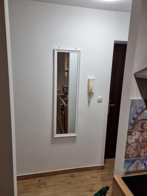 Studio Apartman Bojana 34M2,Free Wifi,Parking Сисак Экстерьер фото