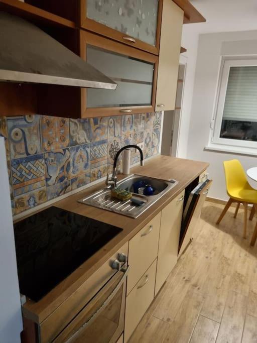 Studio Apartman Bojana 34M2,Free Wifi,Parking Сисак Экстерьер фото