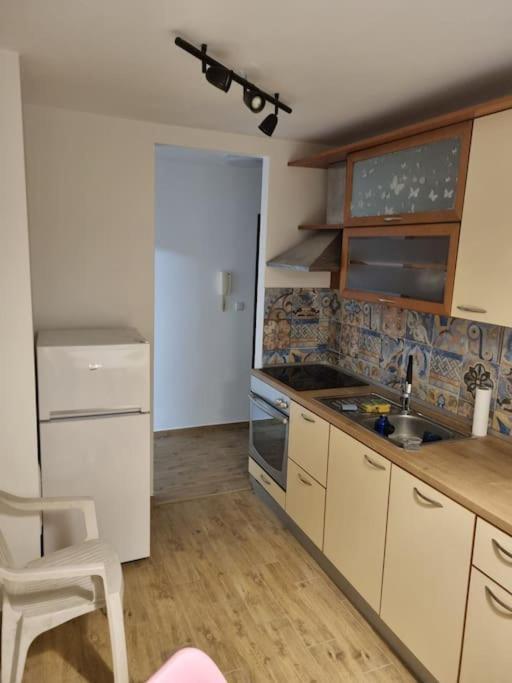 Studio Apartman Bojana 34M2,Free Wifi,Parking Сисак Экстерьер фото