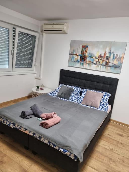 Studio Apartman Bojana 34M2,Free Wifi,Parking Сисак Экстерьер фото