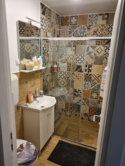 Studio Apartman Bojana 34M2,Free Wifi,Parking Сисак Экстерьер фото