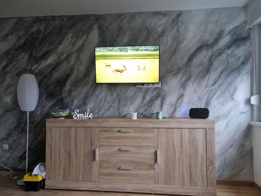 Studio Apartman Bojana 34M2,Free Wifi,Parking Сисак Экстерьер фото